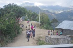 画像6: 東ティモール レテフォホ  『レブドゥレテン小農家』ハイロースト 100g