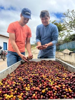 画像3: ブラジル『ベネディート　農園』アララ種　フレンチロースト　100g