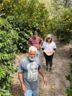 画像6: ブラジル『ベネディート　農園』アララ種　フレンチロースト　100g