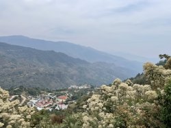 画像5: メキシコ　オアハカ『ユクヒティ村小農家』フルシティロースト100g