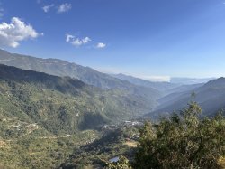 画像8: メキシコ　オアハカ『ユクヒティ村小農家』フルシティロースト100g