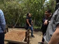 画像7: メキシコ　オアハカ『ユクヒティ村小農家』フルシティロースト100g