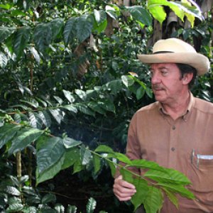 画像: コロンビア サンタンデール 『エルローブレ農園』 ティピカ種 ハイロースト 100g