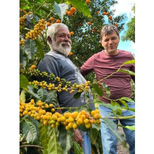 画像: ブラジル『ベネディート　農園』アララ種　フレンチロースト　100g