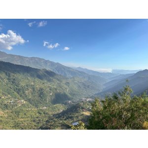 画像: カフェインレス『メキシコ  サントゥアリオ村小農家』フレンチロースト 100g