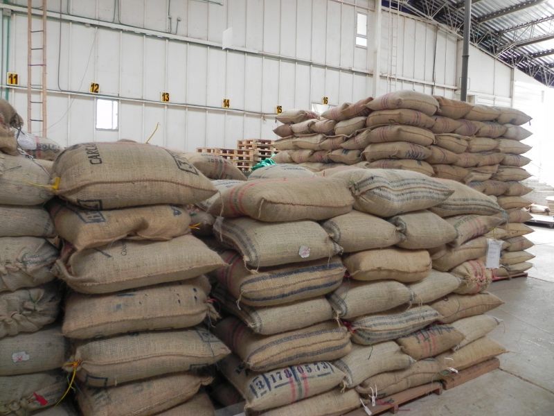 画像2: コロンビア  『エル・ローブレ農園』 フレンチロースト　100g