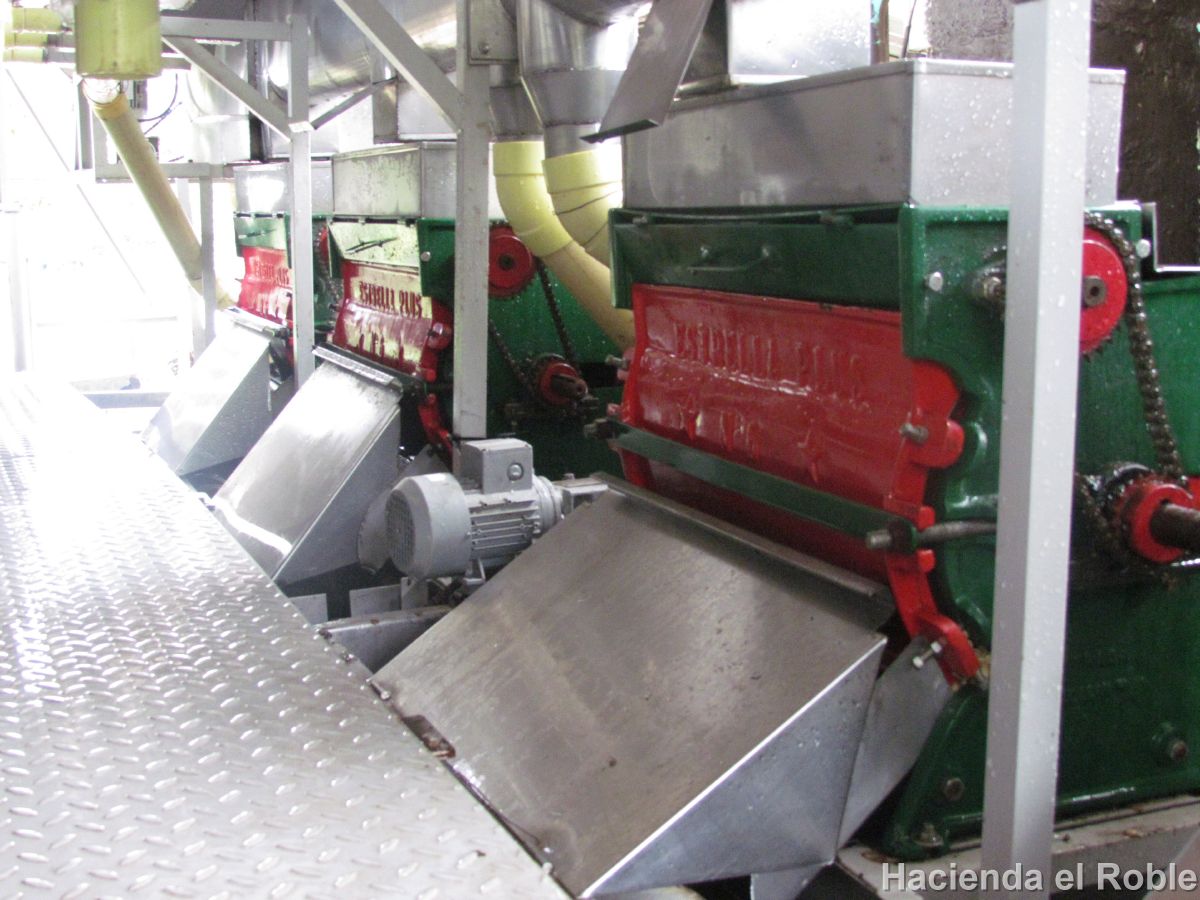 画像2: コロンビア サンタンデール 『エルローブレ農園』 ティピカ種　ハイロースト 100g