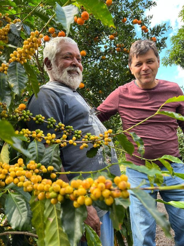 画像1: ブラジル『ベネディート　農園』アララ種　フレンチロースト　100g