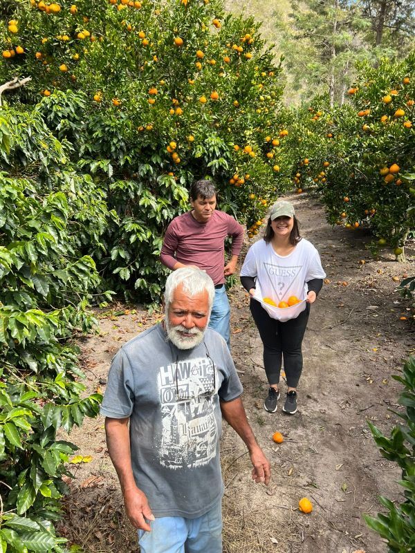 画像6: ブラジル『ベネディート　農園』アララ種　フレンチロースト　100g