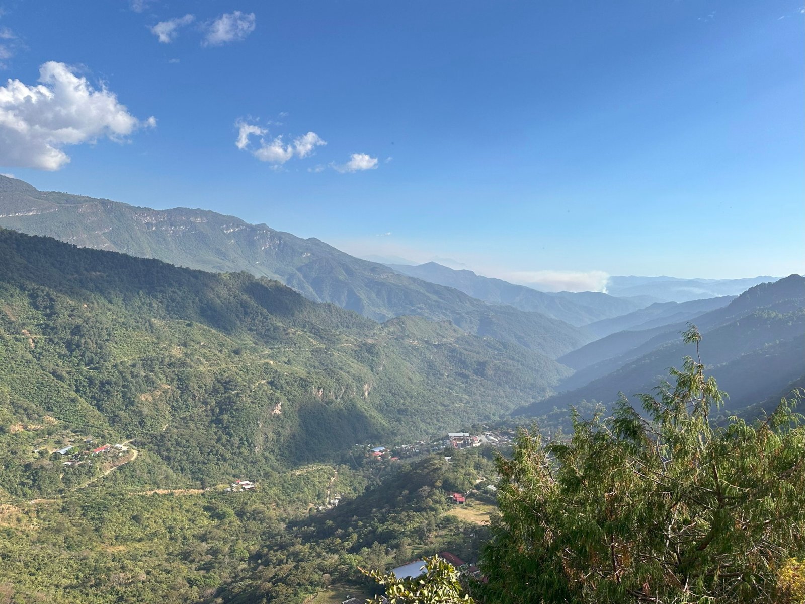 画像1: カフェインレス『メキシコ　　サントゥアリオ村小農家』フレンチロースト　100g